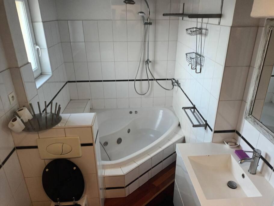 Apartament Le Schauenberg Colmar Zewnętrze zdjęcie