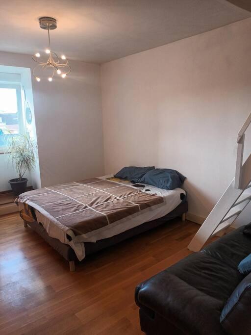 Apartament Le Schauenberg Colmar Zewnętrze zdjęcie